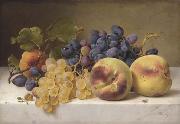 A Still Life with Peaches and Grapes on a Marble Ledge, Johann Wilhelm Preyer